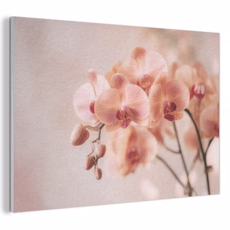Akoestisch schilderij - Orchidee - Bloemen - Roze - Bloemblaadjes — 1
