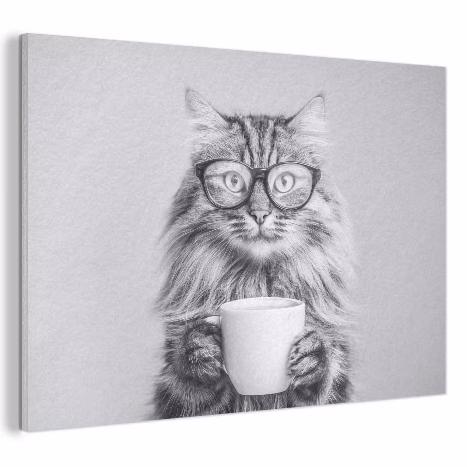 Akoestisch schilderij - Kat - Bril - Mok - Pluizig — 1
