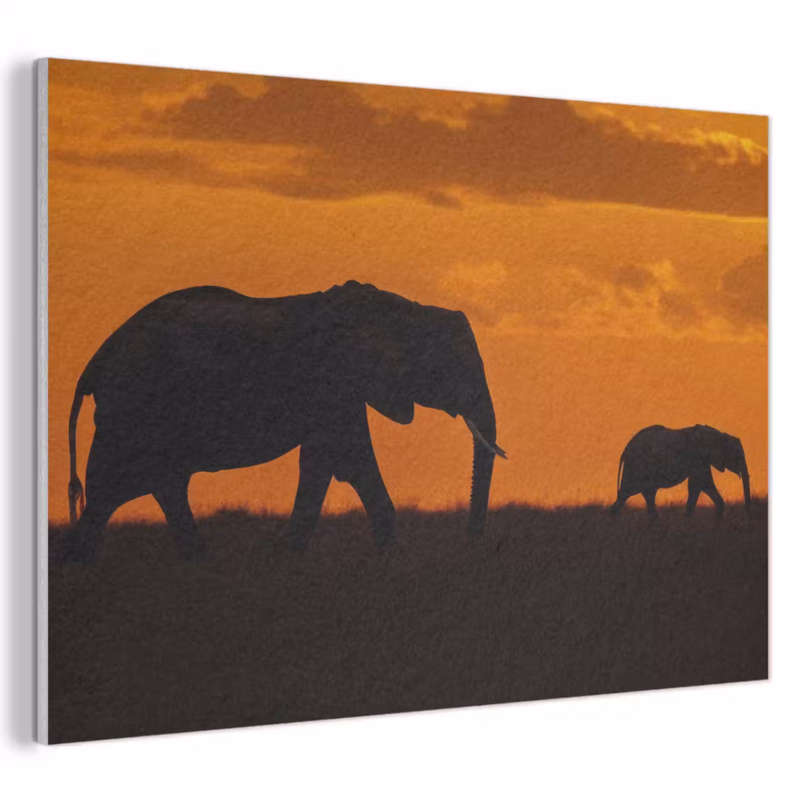 Akoestisch schilderij - Olifanten - Savanne - Zonsondergang — 1