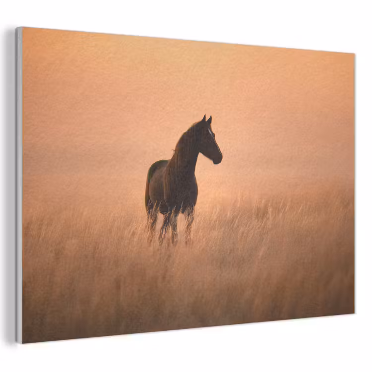 Akoestisch schilderij - Paard - Grasveld - Zonsondergang — 1