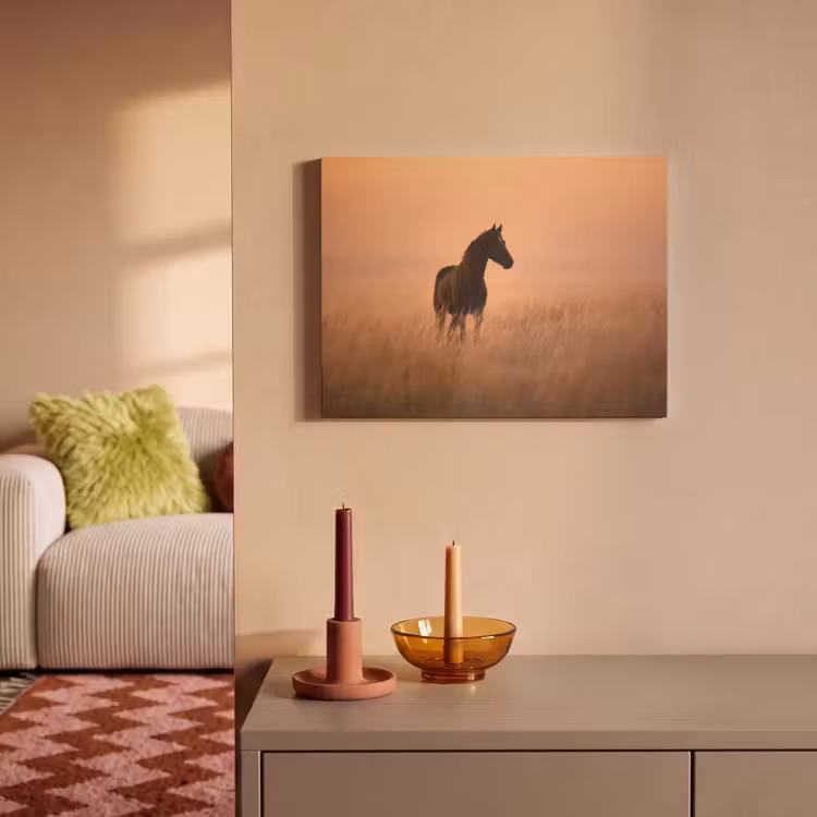 Akoestisch schilderij - Paard - Grasveld - Zonsondergang — 2