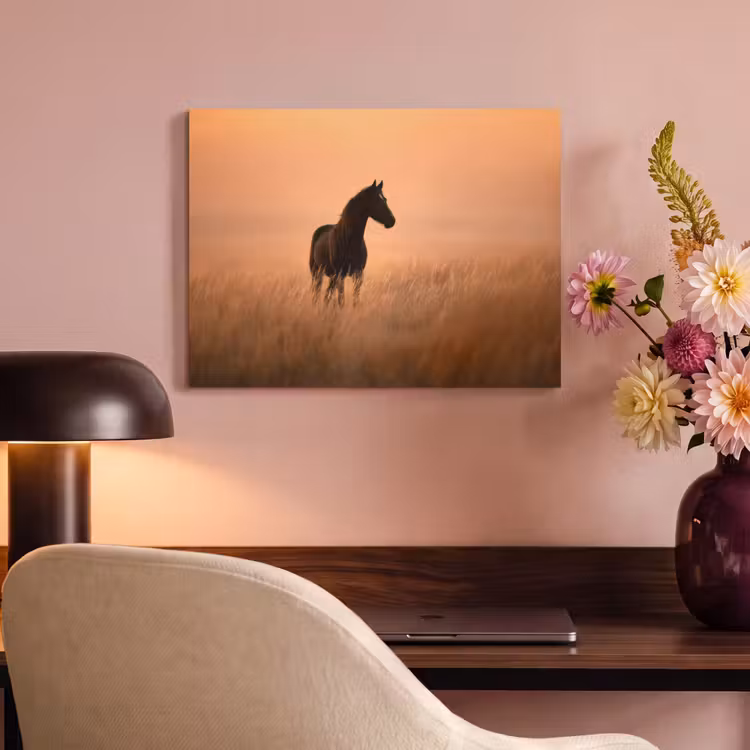 Akoestisch schilderij - Paard - Grasveld - Zonsondergang — 4