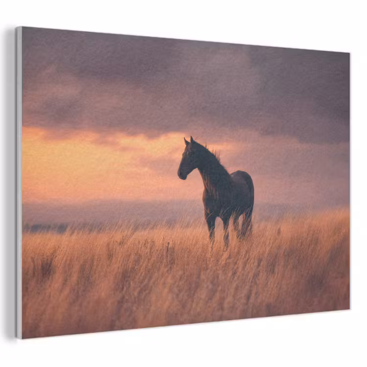 Akoestisch schilderij - Paard - Wolken - Open veld — 1