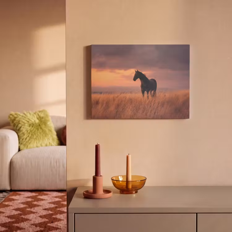 Akoestisch schilderij - Paard - Wolken - Open veld — 2