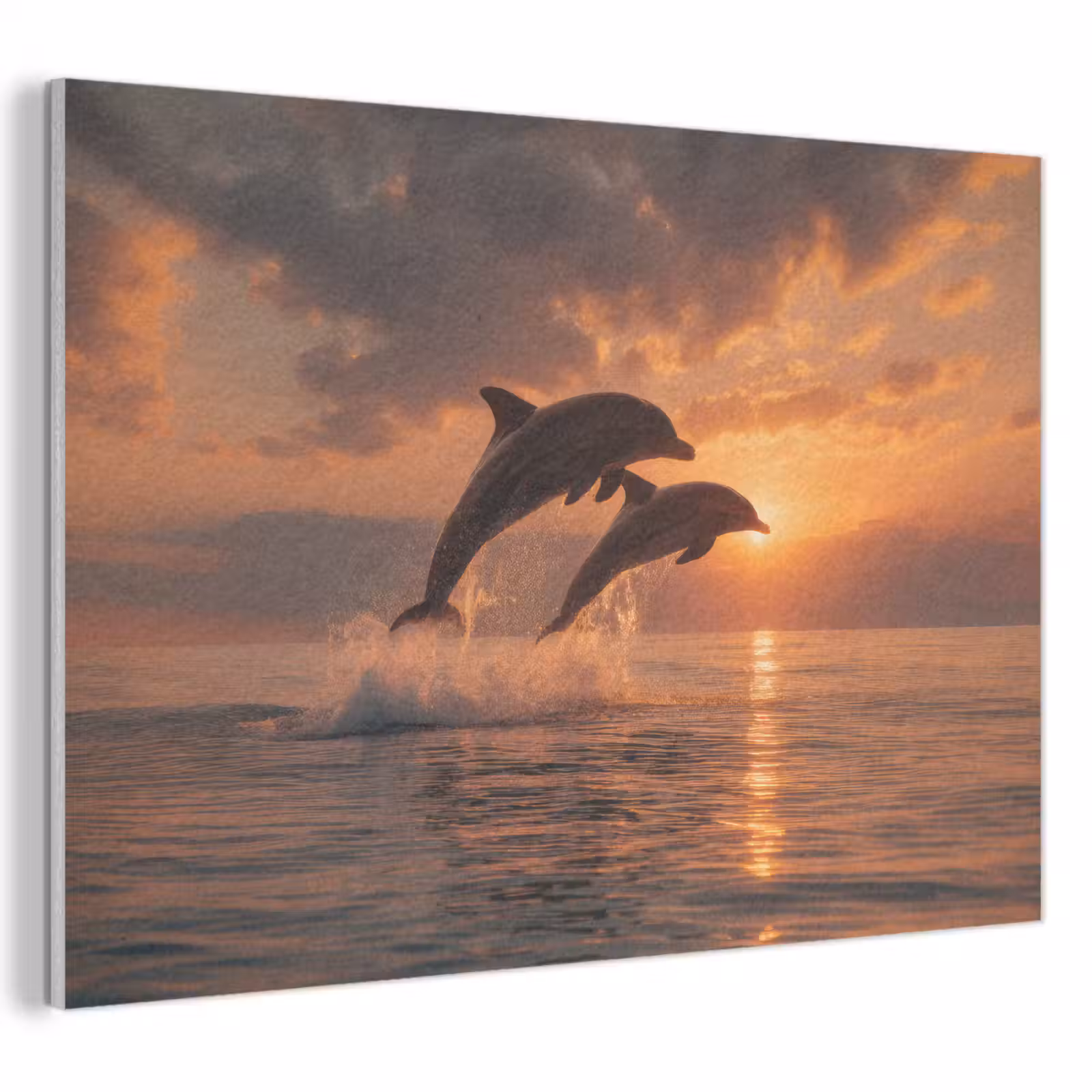 Akoestisch schilderij - Dolfijnen - Zee - Realistisch — 1