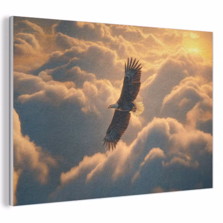 Akoestisch schilderij - Adelaar - Wolken - Zon — 1