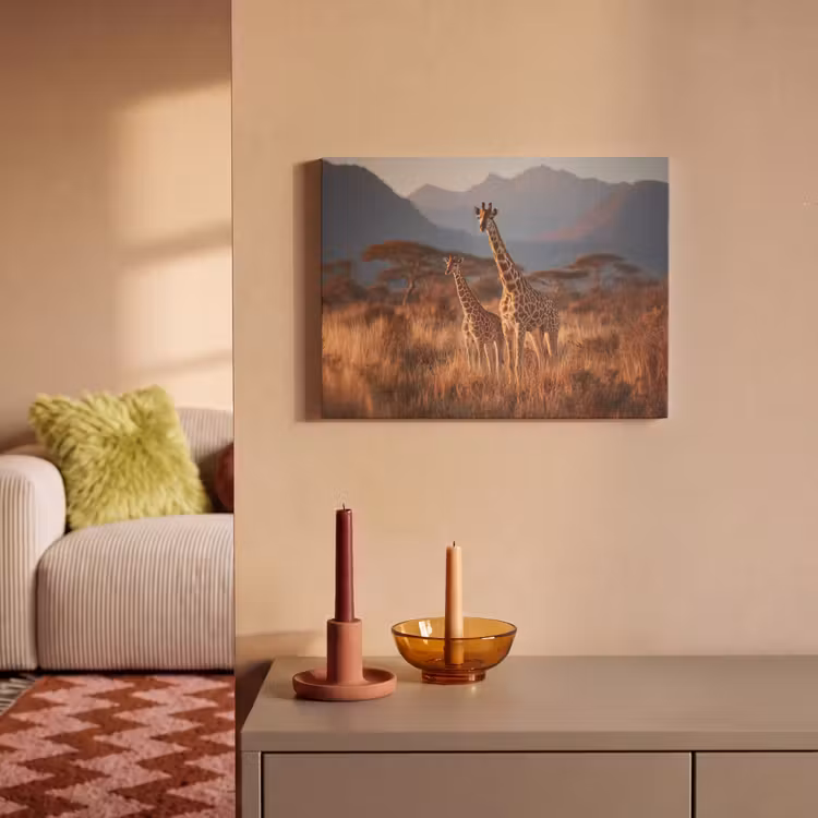 Akoestisch schilderij - Giraffen - Hoog gras - Acaciabomen — 2
