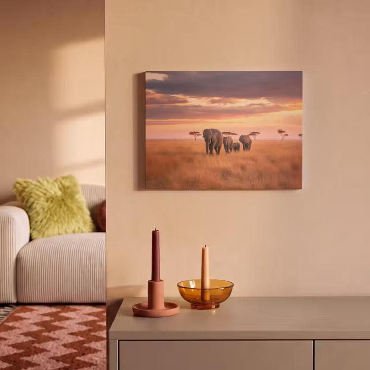 Akoestisch schilderij - Groep olifanten - Open vlakte - Zon — 2