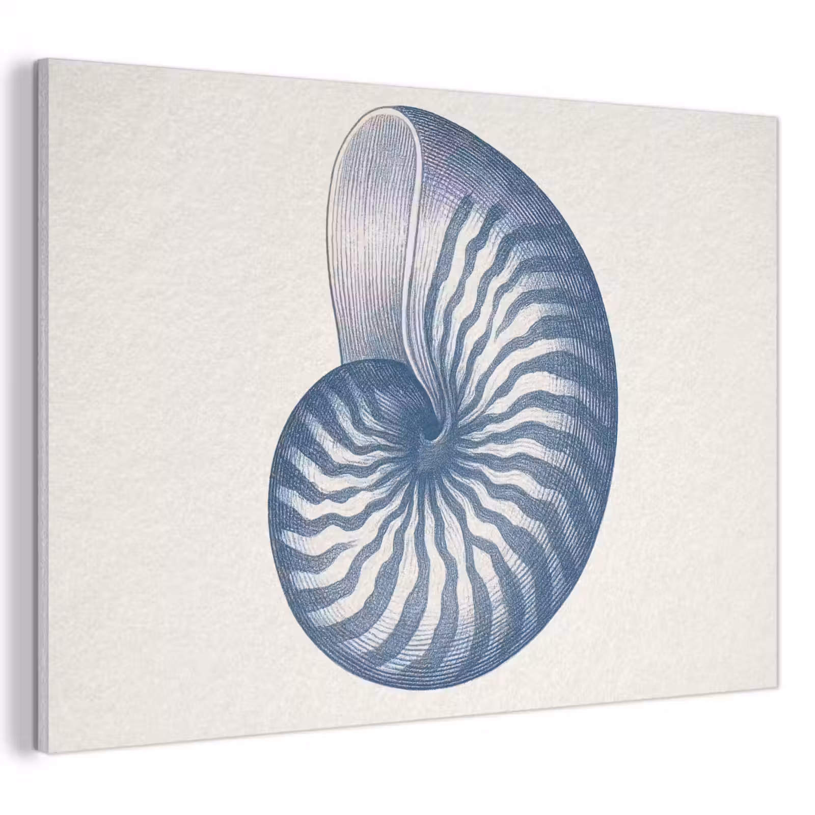 Akoestisch schilderij - Blauw - Schelp - Spiraal — 1