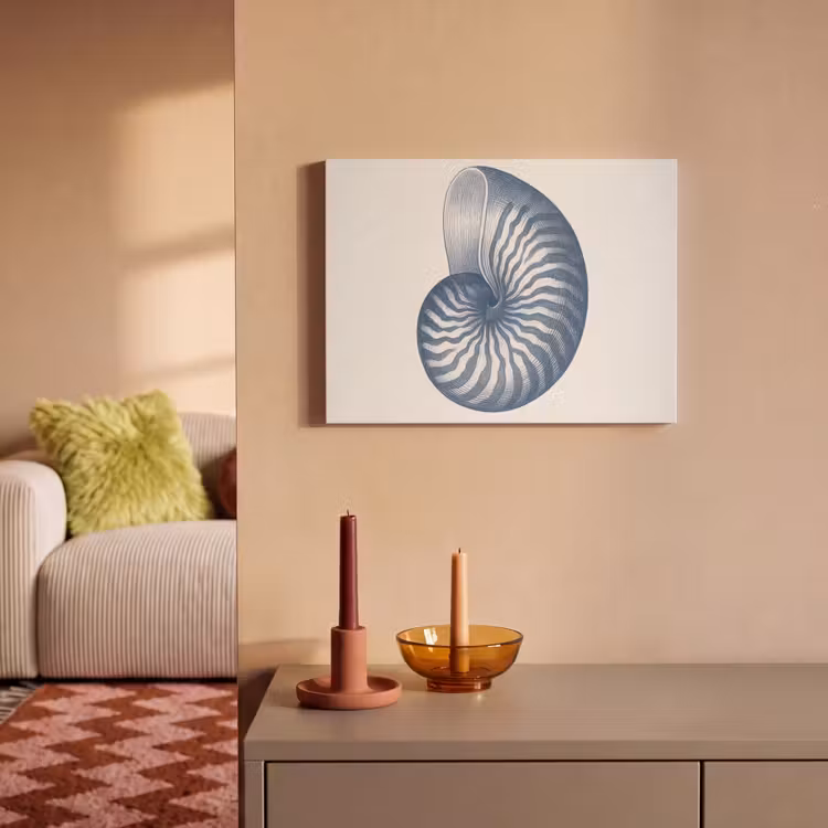 Akoestisch schilderij - Blauw - Schelp - Spiraal — 2