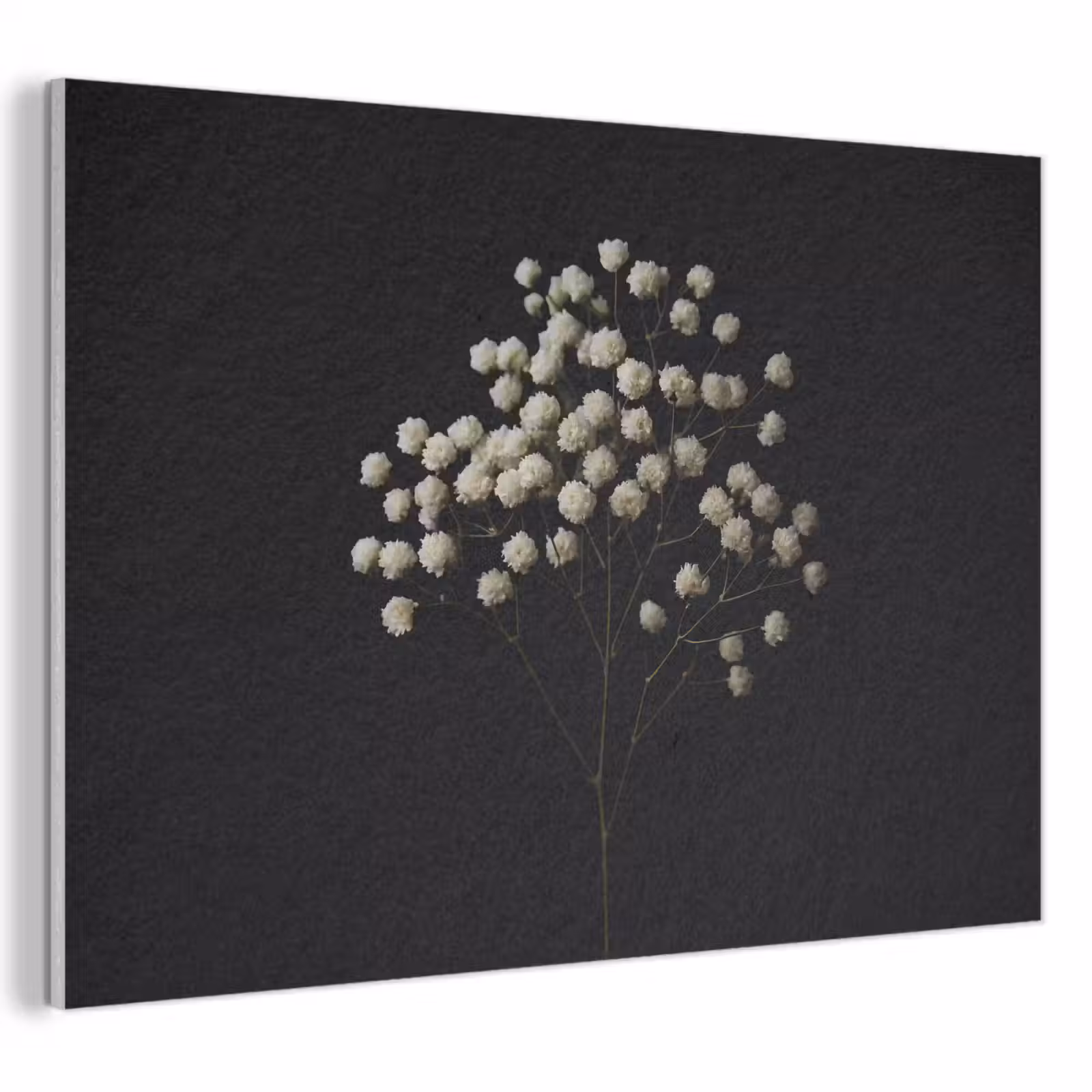 Akoestisch schilderij - Gipskruid - Bloemetjes - Wit - Minimalistisch — 1