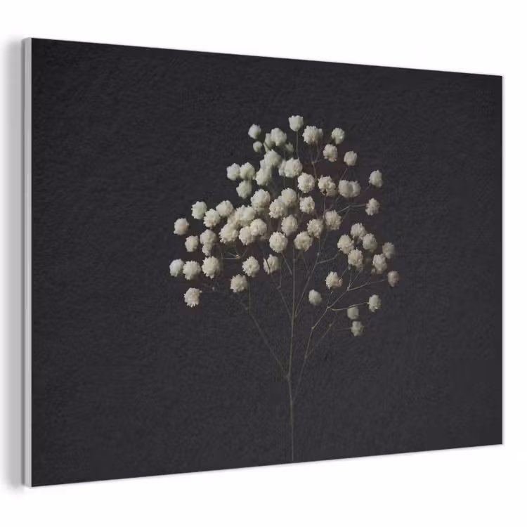 Akoestisch schilderij - Gipskruid - Bloemetjes - Wit - Minimalistisch — 1