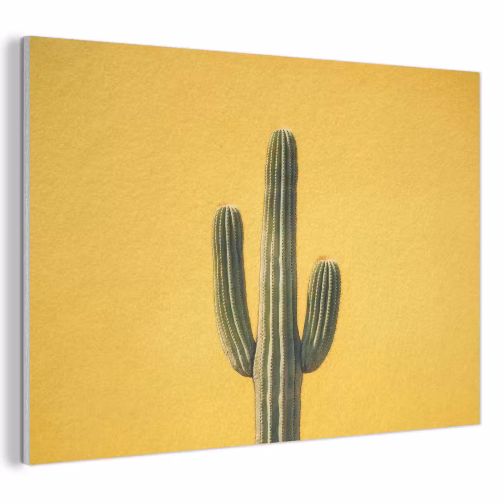 Akoestisch schilderij - Cactus - Groen - Minimalistisch — 1