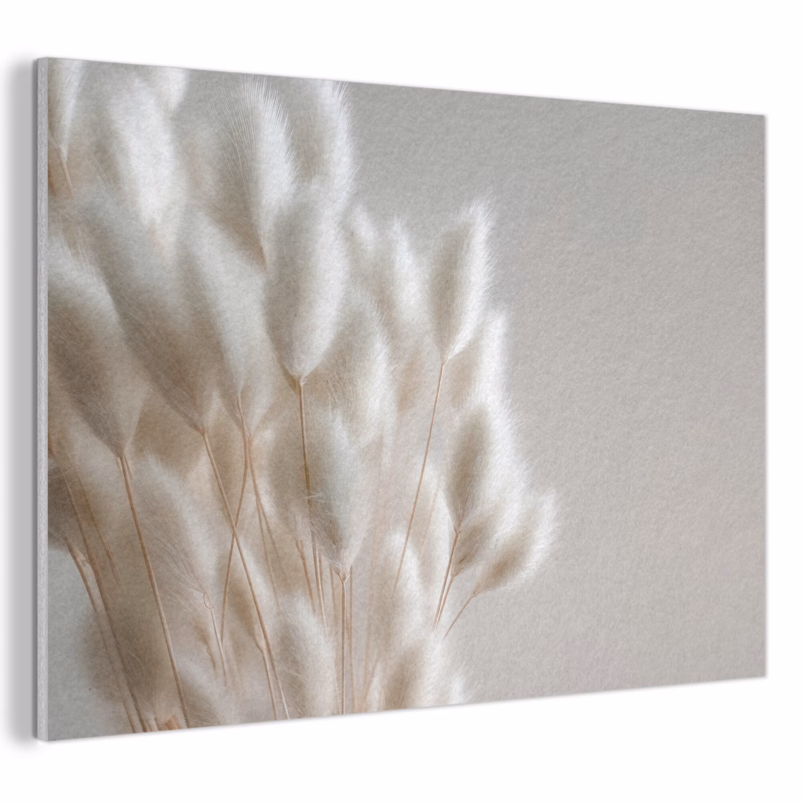 Akoestisch schilderij - Pluimen - Beige - Minimalistisch — 1