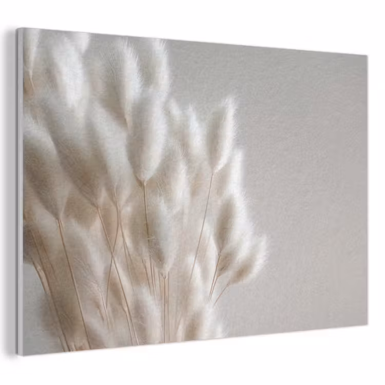 Akoestisch schilderij - Pluimen - Beige - Minimalistisch — 1