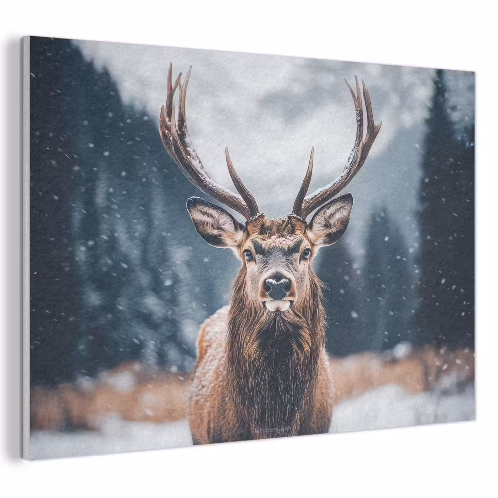 Akoestisch schilderij - Hert - Winter - Hertenkop - Sneeuw - Gewei — 1