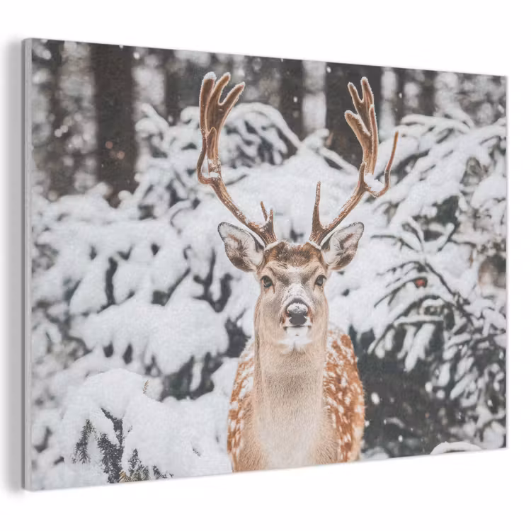 Akoestisch schilderij - Hert - Sneeuw - Winter - Bos - Dieren — 1