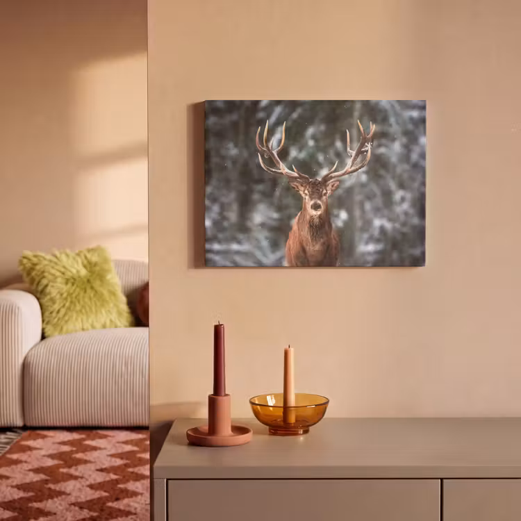 Akoestisch schilderij - Hert - Winter - Sneeuw - Bos - Natuur - Dier — 2