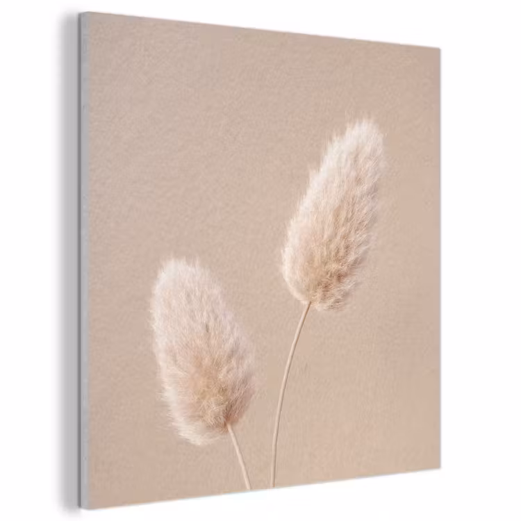 Akoestisch schilderij - Pampas pluimen - Beige - Planten — 1