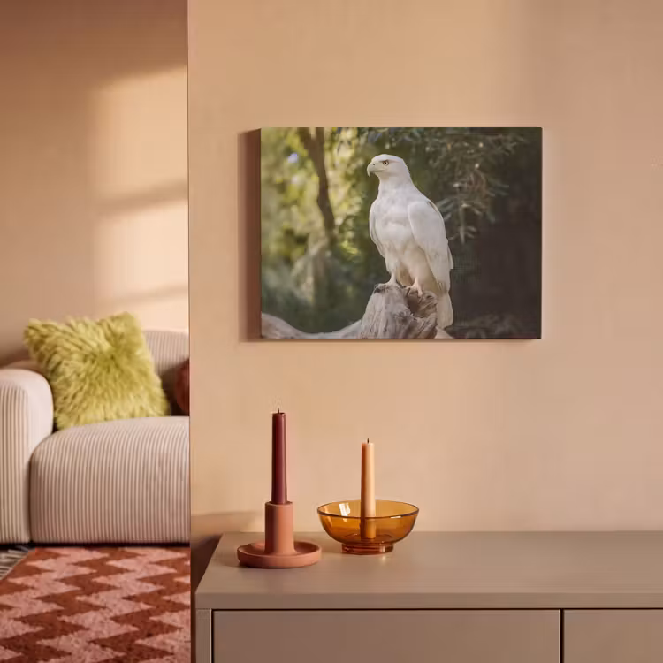 Akoestisch schilderij - Arend - Hout - Wit - Planten — 2