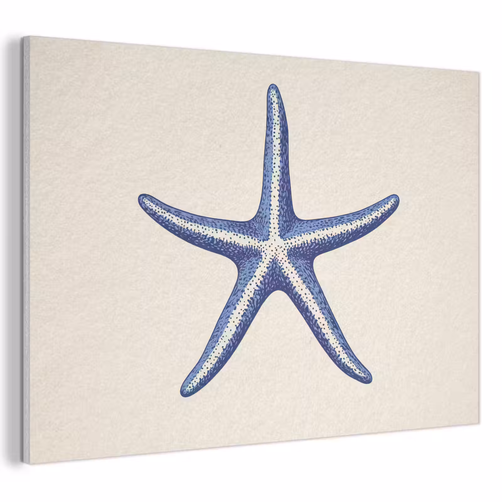 Akoestisch schilderij - Blauwe zeester - Minimalistisch - Beige — 1