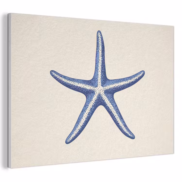 Akoestisch schilderij - Blauwe zeester - Minimalistisch - Beige — 1