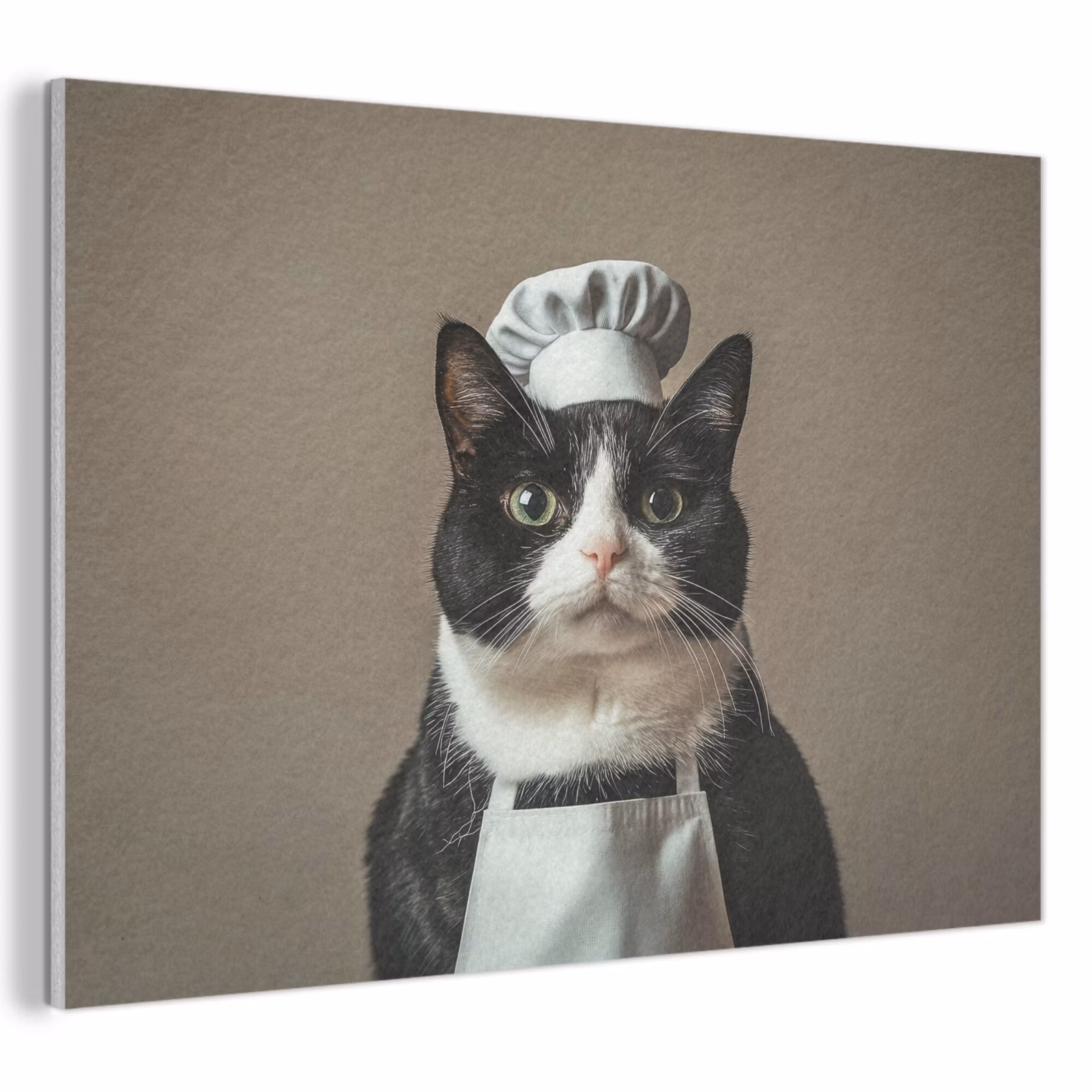 Akoestisch schilderij - Kat - Kokskleding - Zwart - Wit — 1