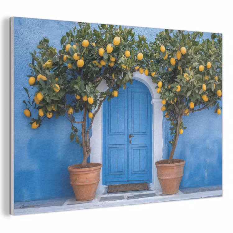 Akoestisch schilderij - Citroenbomen - Geel - Deur - Potten — 1