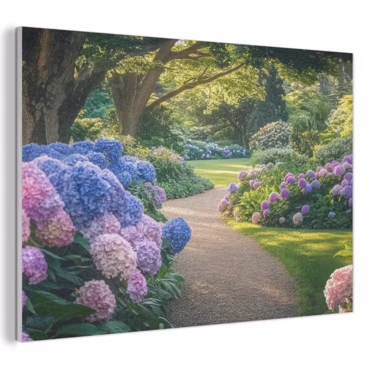 Akoestisch schilderij - Hortensia- Park - Pad — 1