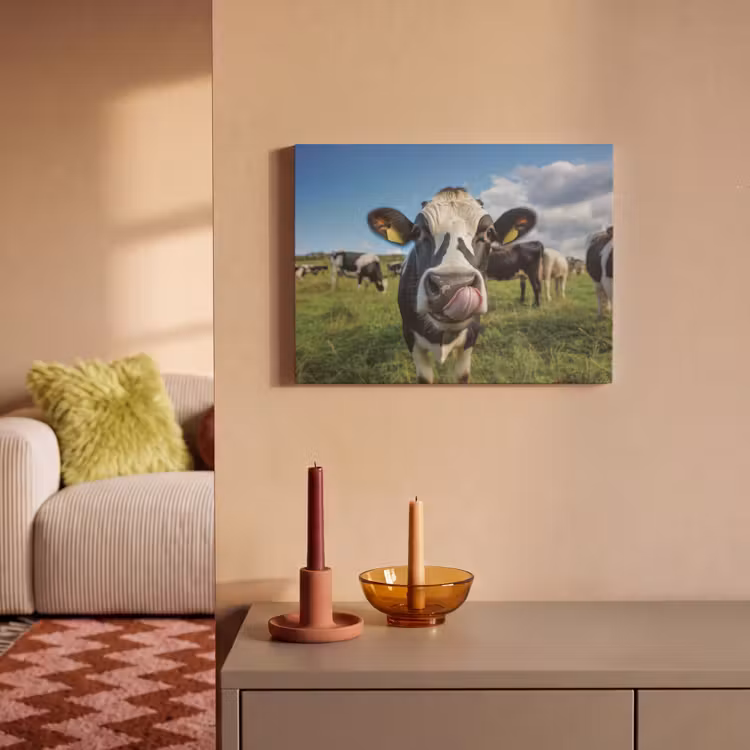 Akoestisch schilderij - Koe - Tong - Weide — 2