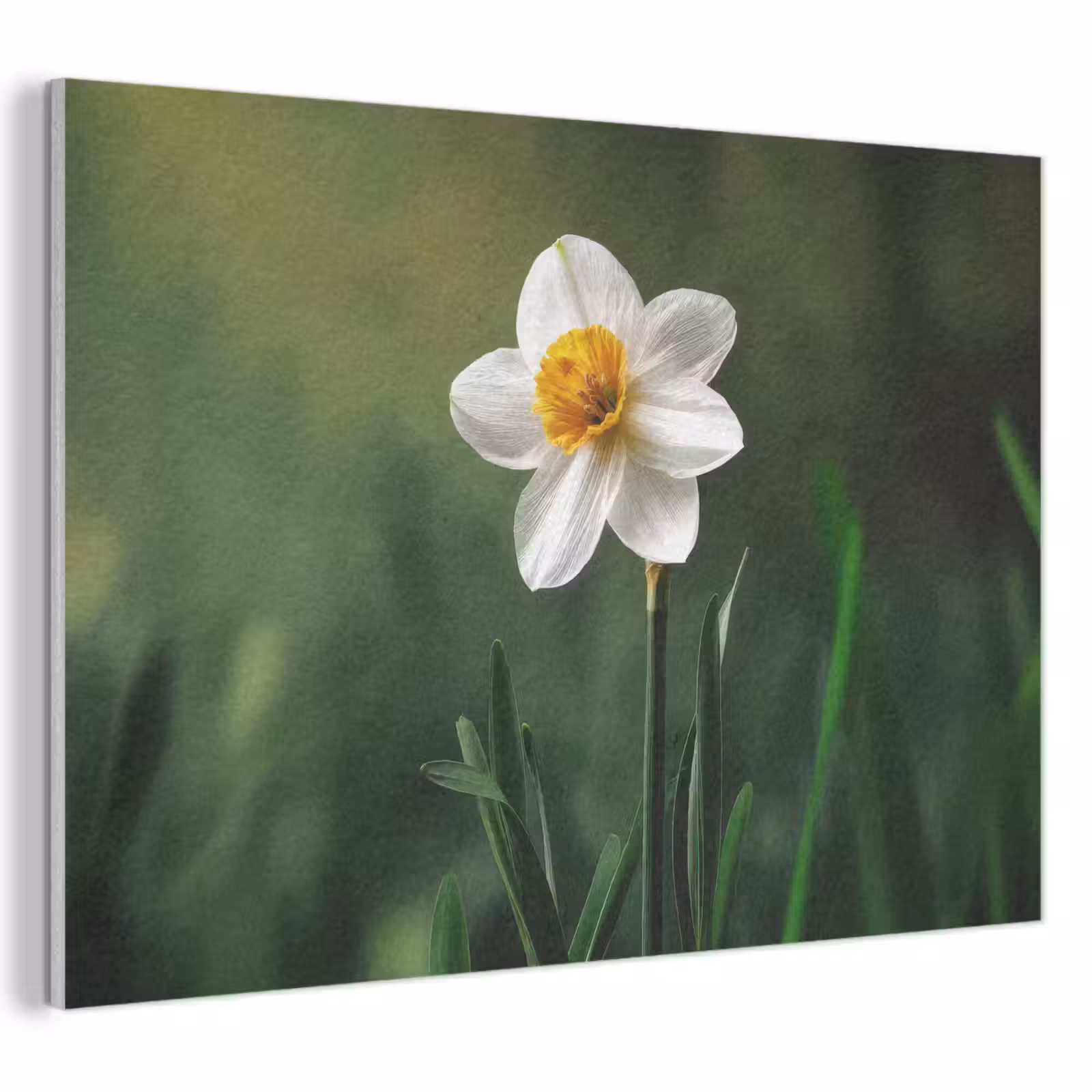 Akoestisch schilderij - Narcis - Bloem - Wit - Grassprieten — 1