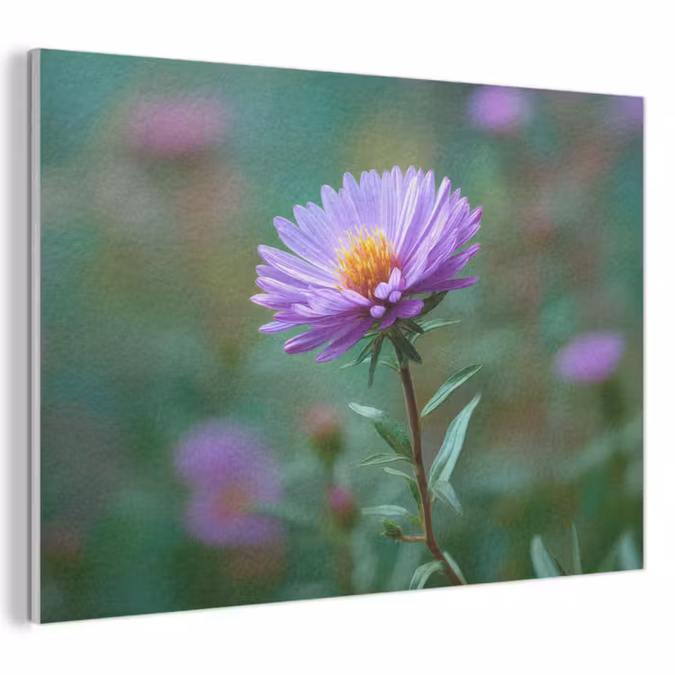 Akoestisch schilderij - Aster - Paars - Bloem - Blaadjes — 1