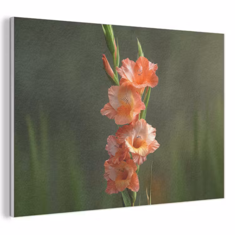 Akoestisch schilderij - Bloem - Gladiolen - Zalmroze — 1