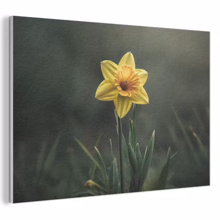 Akoestisch schilderij - Bloem - Narcis - Gras - Geel — 1
