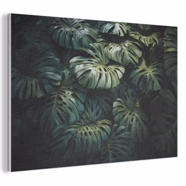 Akoestisch schilderij - Plant - Monstera - Lichtinval — 1