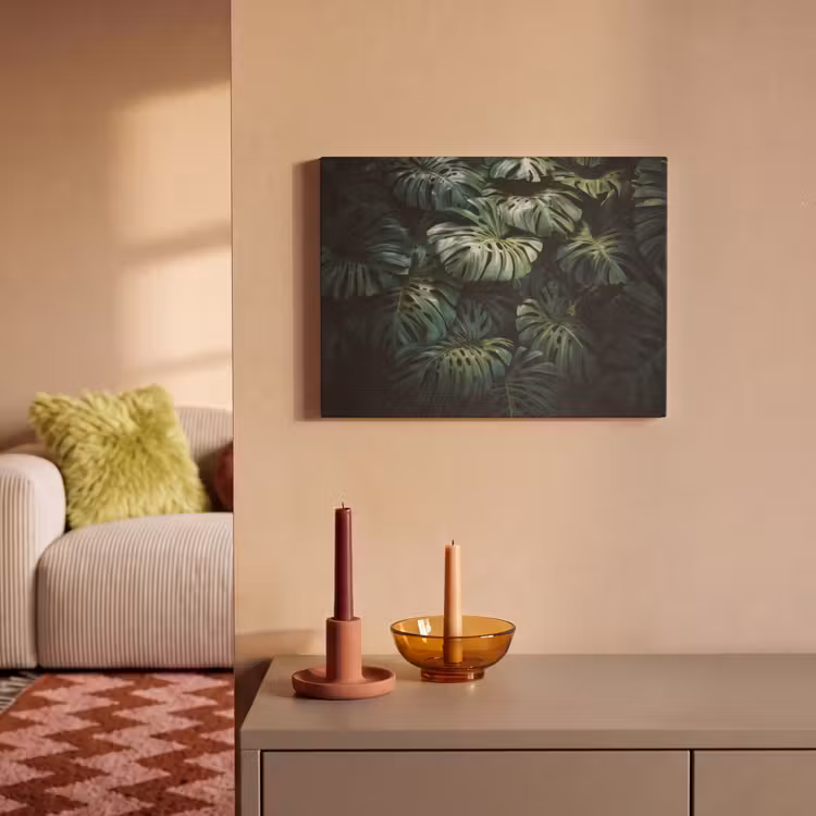 Akoestisch schilderij - Plant - Monstera - Lichtinval — 2