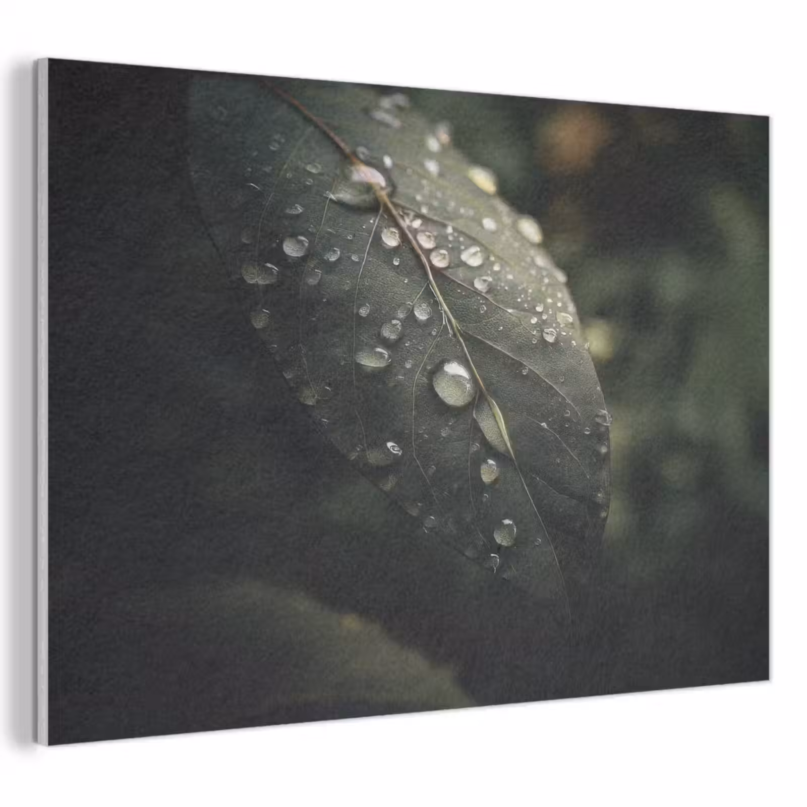Akoestisch schilderij - Blad - Groen - Nerven - Regendruppels — 1