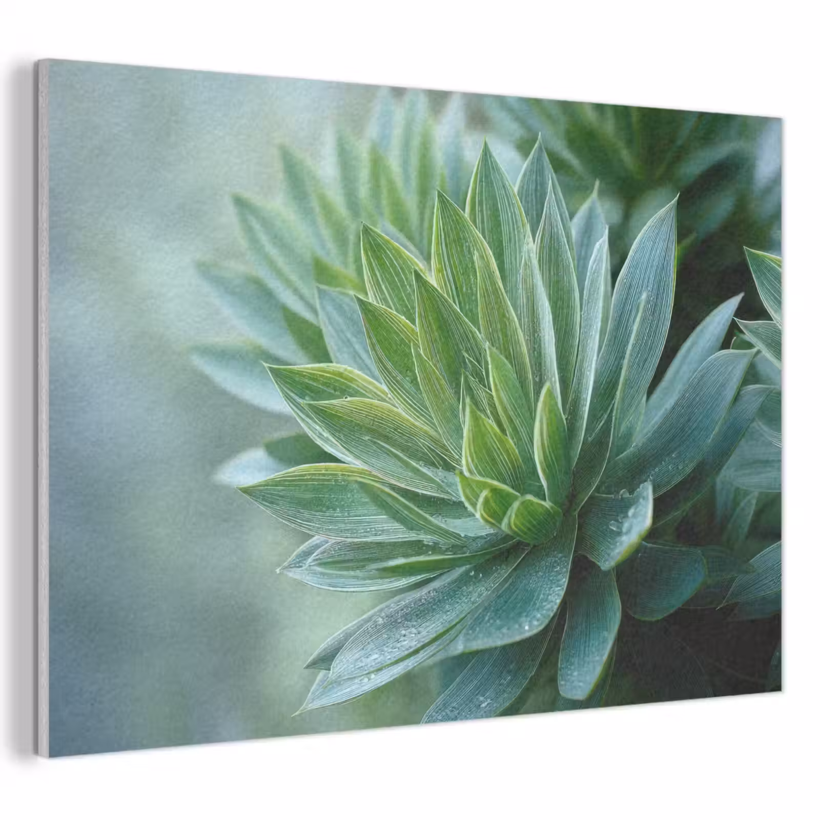 Akoestisch schilderij - Blad - Plant - Groen - Textuur — 1
