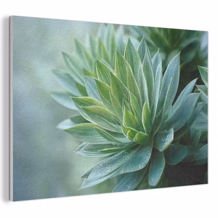 Akoestisch schilderij - Blad - Plant - Groen - Textuur — 1