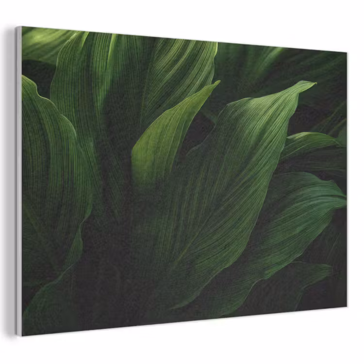 Akoestisch schilderij - Bladeren - Schaduw - Groen - Textuur — 1