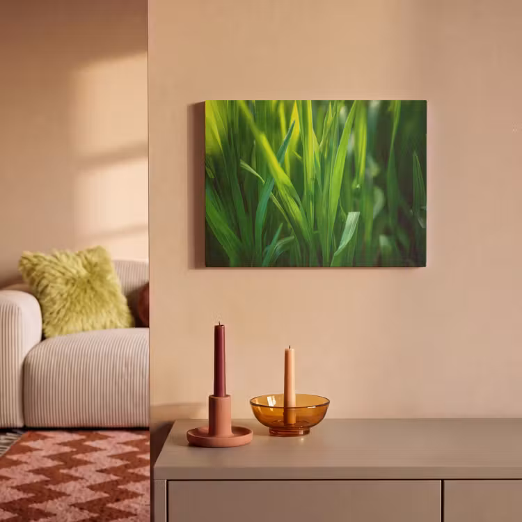 Akoestisch schilderij - Grassprieten - Lichtinval - Groen — 2