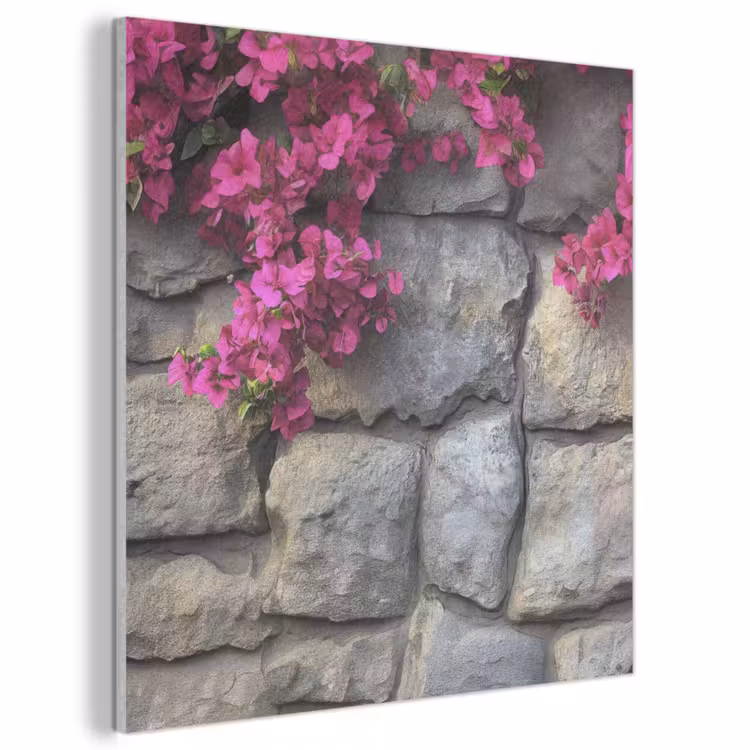Akoestisch schilderij - Bougainvillea - Stenen Muur - Roze — 1