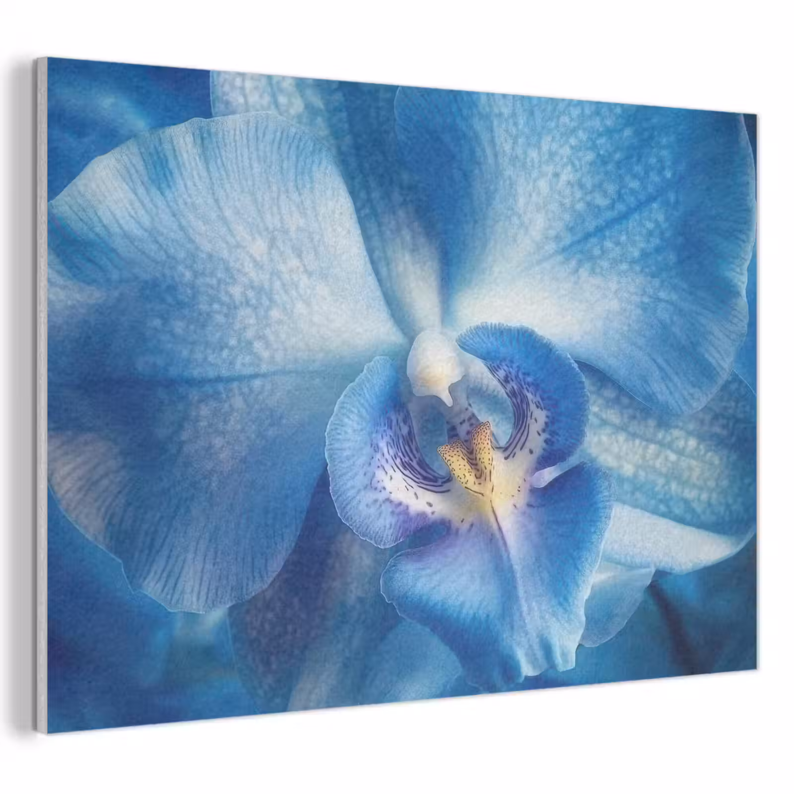 Akoestisch schilderij - Blauw - Orchidee - Elegeant — 1