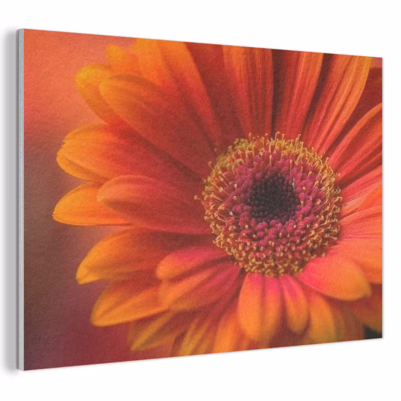 Akoestisch schilderij - Oranje - Gerbera - Intens — 1