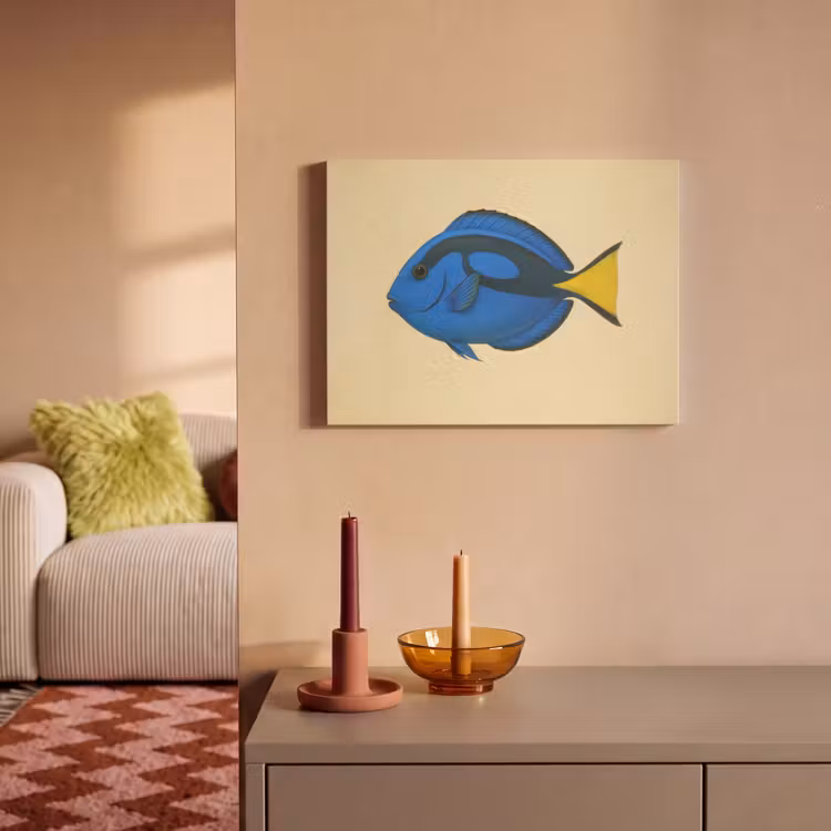 Akoestisch schilderij - Blauw - Dory - Vis - Staartvin — 2