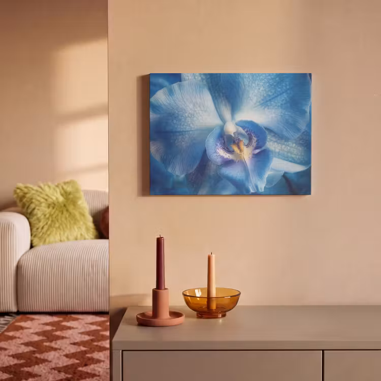 Akoestisch schilderij - Blauw - Orchidee - Elegeant — 2