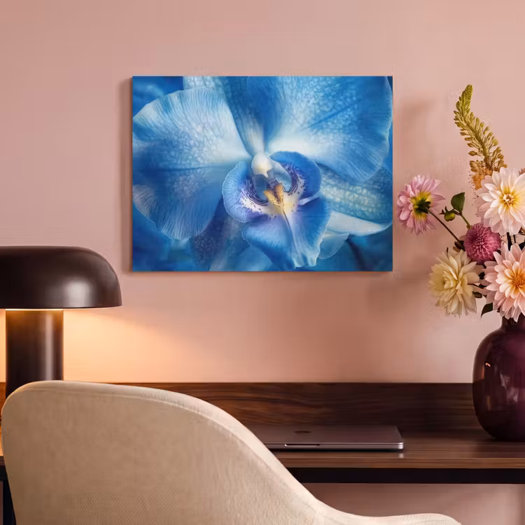Akoestisch schilderij - Blauw - Orchidee - Elegeant — 4