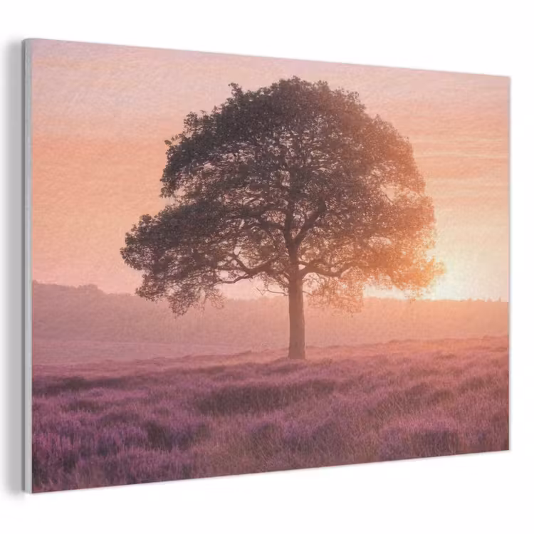 Akoestisch schilderij - Boom - Heide - Zonsopgang — 1