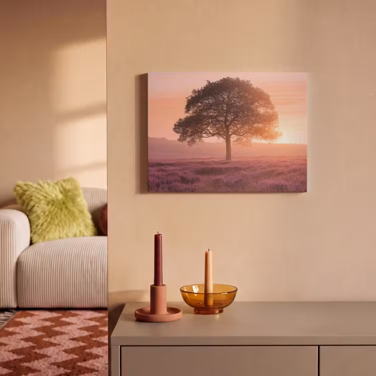Akoestisch schilderij - Boom - Heide - Zonsopgang — 2