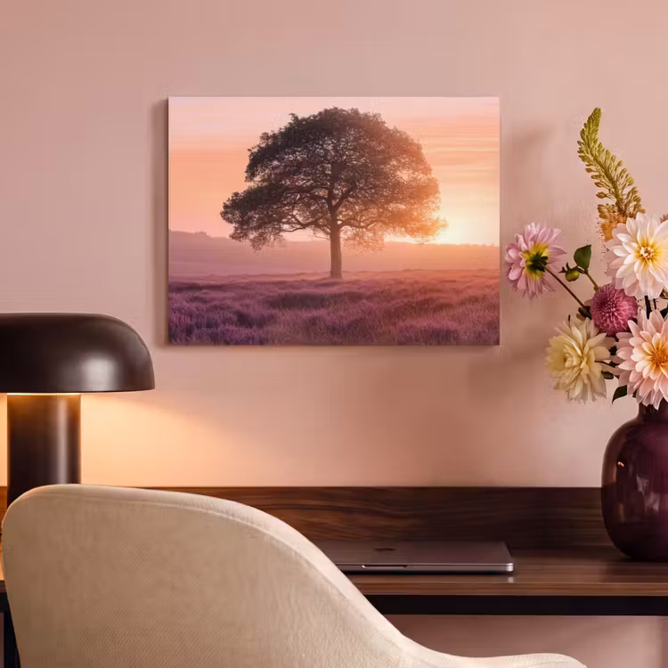 Akoestisch schilderij - Boom - Heide - Zonsopgang — 4